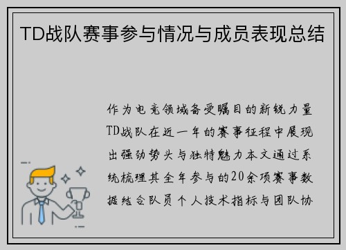 TD战队赛事参与情况与成员表现总结