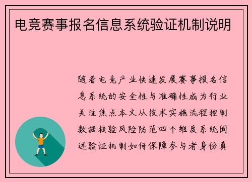 电竞赛事报名信息系统验证机制说明